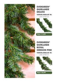Coppelmans kerstbomencatalogus Pagina 44