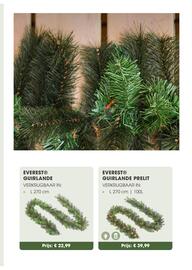 Coppelmans kerstbomencatalogus Pagina 47