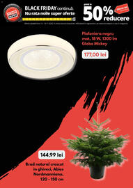 Catalog Brico Depôt săptămâna 46 Pagină 6