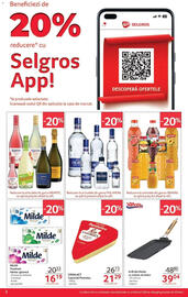Catalog Selgros Pagină 2