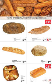 Catalog Selgros Pagină 7