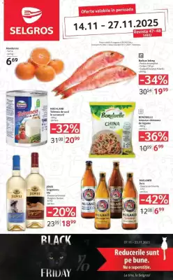 Catalog Selgros (valid până la 27-11)