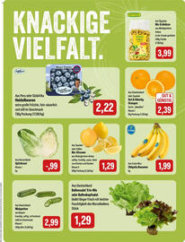 Feneberg Prospekt Seite 5