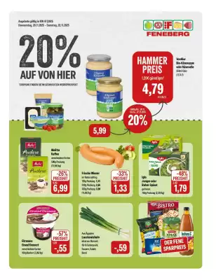 Feneberg Prospekt (gültig bis 22-11)