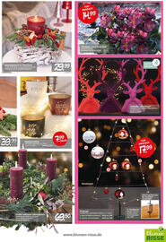 Blumen Risse Prospekt Seite 3