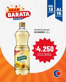 Catálogo Cooperativa Obrera Página 4