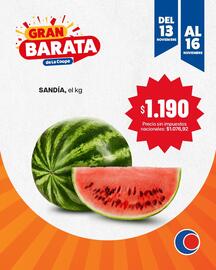 Catálogo Cooperativa Obrera Página 5