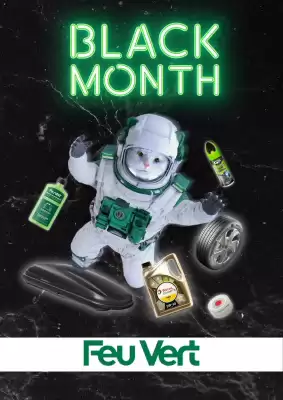 Folleto Feu Vert (válido hasta el 19-11)