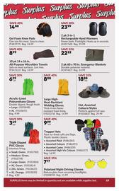 Princess Auto flyer week 46 Page 74