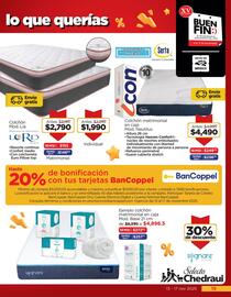 Folleto Chedraui | Buen Fin Página 19