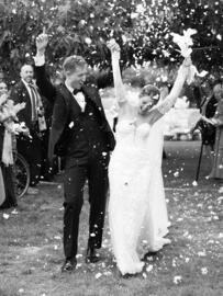 Catálogo Pronovias Página 1