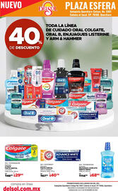 Folleto DelSol semana 46 Página 42