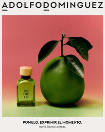 Catálogo Pigmento semana 46 Página 2