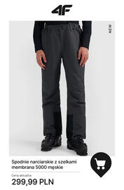 4F gazetka tydzień 46 Strona 13