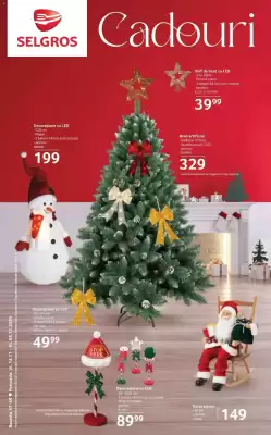 Catalog Selgros (valid până la 5-12)