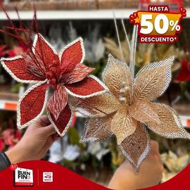 Catálogo Fantasías Miguel semana 46 Página 2