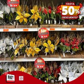 Catálogo Fantasías Miguel semana 46 Página 3