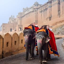 Catálogo Mega Travel Página 2
