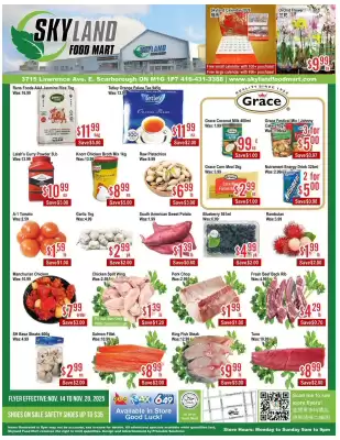 Skyland Foodmart flyer (valid until 21-11)