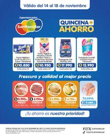 Catálogo Surtifamiliar Página 3