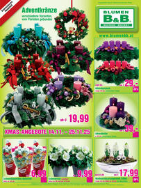 Blumen B&B Flugblatt Seite 2