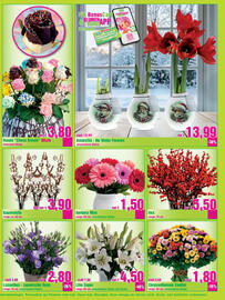 Blumen B&B Flugblatt Seite 3