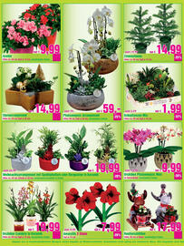 Blumen B&B Flugblatt Seite 5