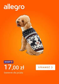 Allegro gazetka tydzień 46 Strona 1