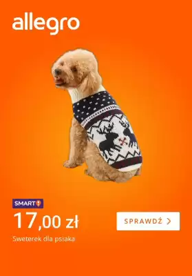 Allegro gazetka (ważność do 20-11)