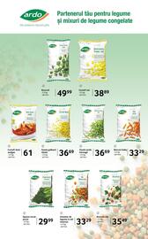 Catalog Selgros Pagină 13