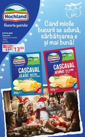 Catalog Selgros Pagină 16