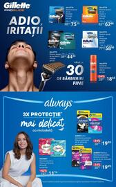 Catalog Selgros Pagină 31