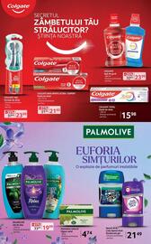 Catalog Selgros Pagină 32