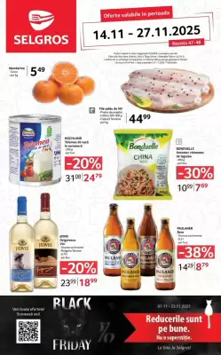 Catalog Selgros (valid până la 27-11)