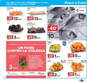 Volantino Carrefour Pagina 13