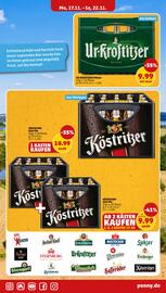 PENNY Prospekt woche 47 Seite 13