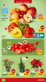 PENNY Prospekt woche 47 Seite 3