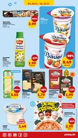 PENNY Prospekt woche 47 Seite 35