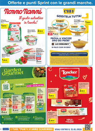 Volantino Carrefour | Punti Sprint Payback Pagina 20