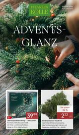 Pflanzen Kölle Prospekt woche 47 Seite 1