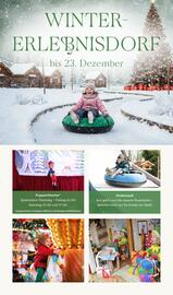 Pflanzen Kölle Prospekt woche 47 Seite 10