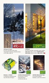 Pflanzen Kölle Prospekt woche 47 Seite 12