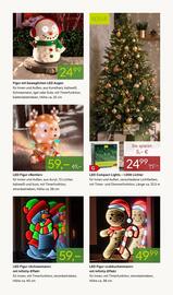 Pflanzen Kölle Prospekt woche 47 Seite 13