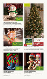 Pflanzen Kölle Prospekt woche 47 Seite 13