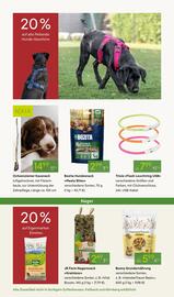 Pflanzen Kölle Prospekt woche 47 Seite 14