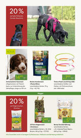 Pflanzen Kölle Prospekt woche 47 Seite 14