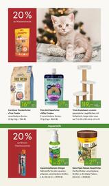 Pflanzen Kölle Prospekt woche 47 Seite 15