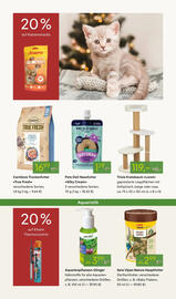 Pflanzen Kölle Prospekt woche 47 Seite 15