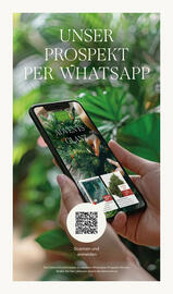 Pflanzen Kölle Prospekt woche 47 Seite 16