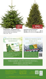 Pflanzen Kölle Prospekt woche 47 Seite 18
